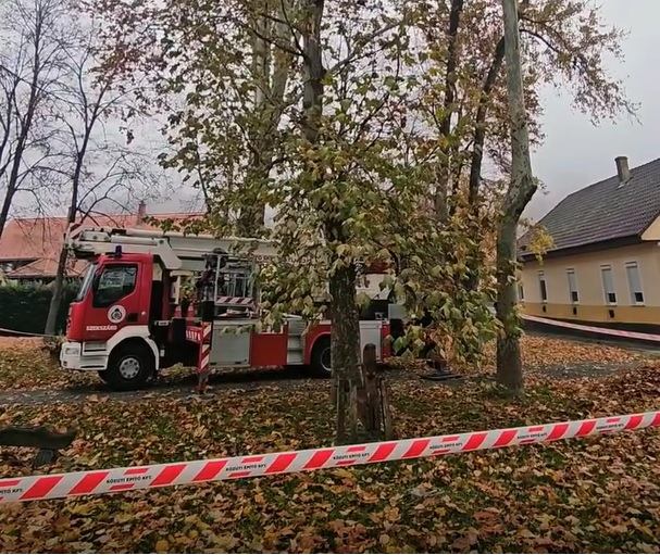 Alsónána - veszélyes fa eltávolítása című videó előképe