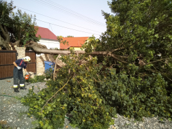 Dombóvár, Erzsébet utca