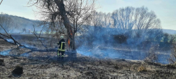 Nagyszokoly - szabadtéri (Tamási ÖTE)
