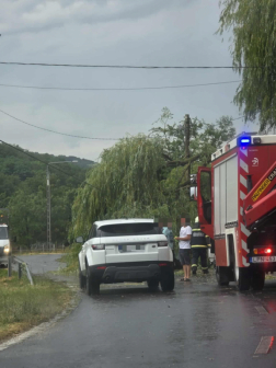 Fákat döntött ki a vihar Tolna vármegyében