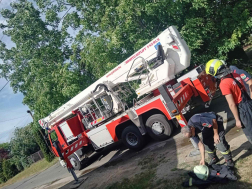  vezetékre dőlt fa