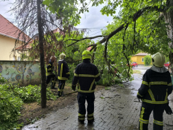Tamási ÖTE (korábbi napok vihakárok felszámolása)