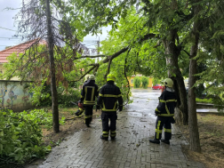 Tamási ÖTE (korábbi napok vihakárok felszámolása)