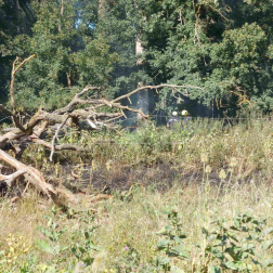 Tűzeset Decsen