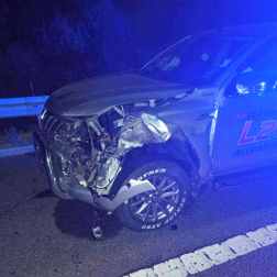 M6 - szarvas és autó
