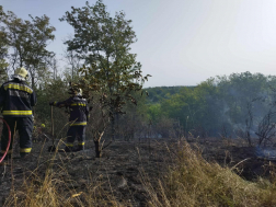 Szekszárd - Sauli tető - szabadtéri tűzeset