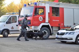 Ismét pályaválasztás a középpontban