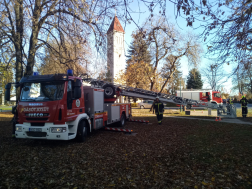 Újdombóvár - favágás