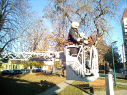 Újdombóvár - favágás