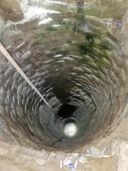 Nagyhajmás - macskamentés