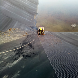 Mágocs - rókák a víztározóban