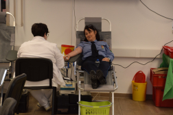 Véradás az Igazgatóságon