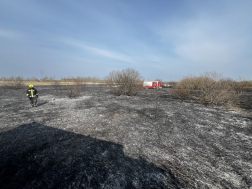 Szabadtéri tűzesethez vonultak a tűzoltók