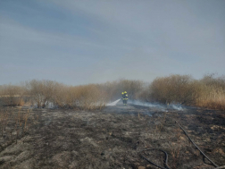 Szabadtéri tűzesethez vonultak a tűzoltók