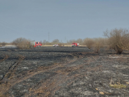 Szabadtéri tűzesethez vonultak a tűzoltók