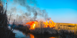 Regöly külterület - nádas égett