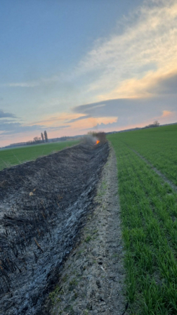 Szabadtéri tűzeset Gerjen külterületén