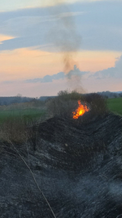 Szabadtéri tűzeset Gerjen külterületén