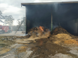 Földespuszta - darált termény égett