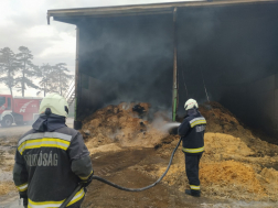 Földespuszta - darált termény égett