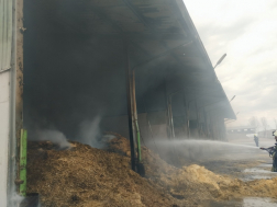 Földespuszta - darált termény égett