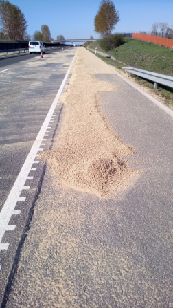 M6 - útra szóródott gabona