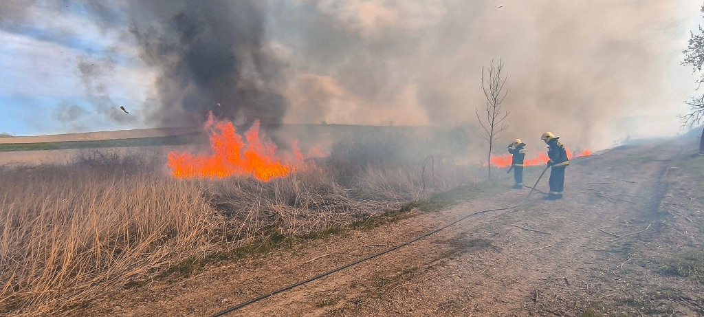 Tamási nádas tűzeset