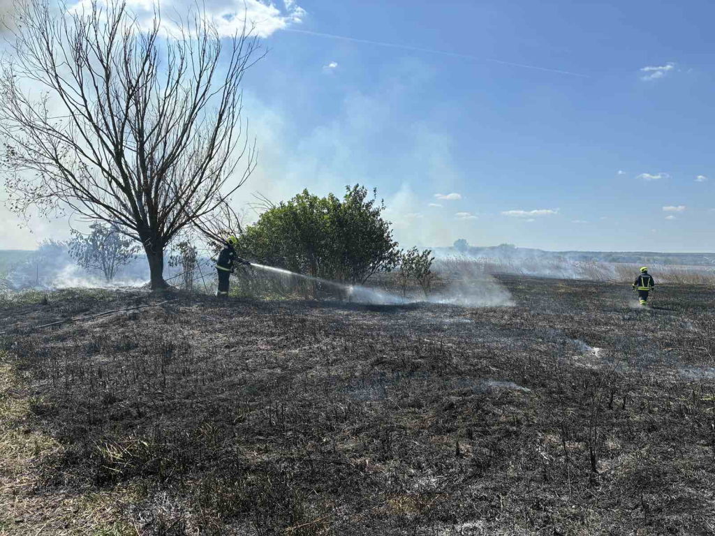 Sárpilis külterület