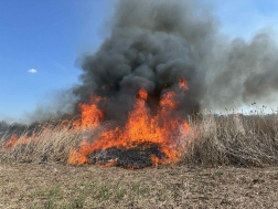 Sárpilis, Alsónyék - szabadtéri tűzeset