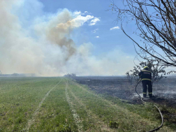 Sárpilis, Alsónyék - szabadtéri tűzeset