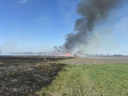 Sárpilis, Alsónyék - szabadtéri tűzeset