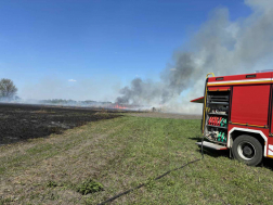Sárpilis, Alsónyék - szabadtéri tűzeset