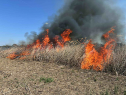 Sárpilis, Alsónyék - szabadtéri tűzeset