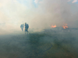 Sárpilis, Alsónyék - szabadtéri tűzeset