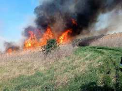 Sárpilis, Alsónyék - szabadtéri tűzeset