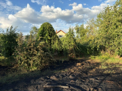 Kaposszekcső égetés