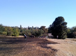 Szakcs - szabadtéri