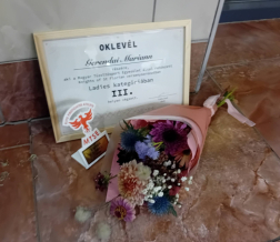 Tizenegy Tolna megyei tűzoltó érdemelte ki a lovagi címet